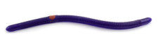 Thumbnail: Plow Jockeys® Pre-Rigged Plastic Scented Worm
