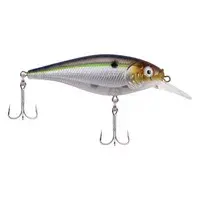 Thumbnail: Flicker Shad Shallow