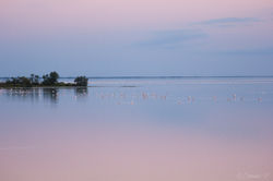Nom_MG_9105