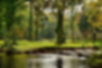 autumn-4595127_960_720.jpg