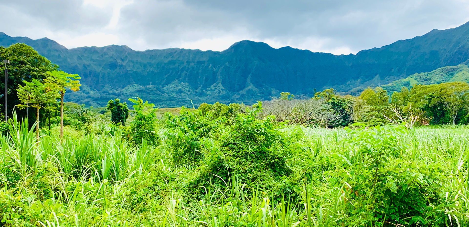 Three Peaks-Hiking in Hawaii