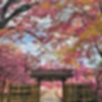 Kashiwa Temple