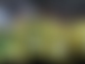 N3 US Changé 1-1 USPF