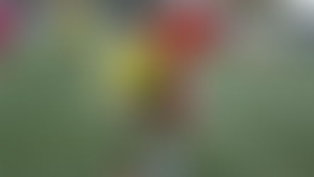 Régionale 1:   USPF 2 -Château-gontier 1-3