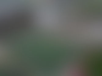  Stade des ChevreTS, Après la neige, la pluie! 