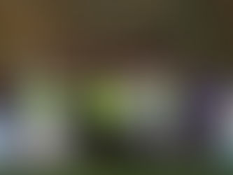 Coupe de France Uspf 2-0 Le Poiré sur Vie