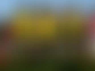 National 3 Uspf 2-0 Les Sables Fcoc