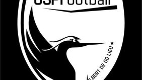 HOMMAGE A RENE RIBEYROLLES