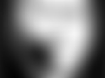 HOMMAGE A RENE RIBEYROLLES