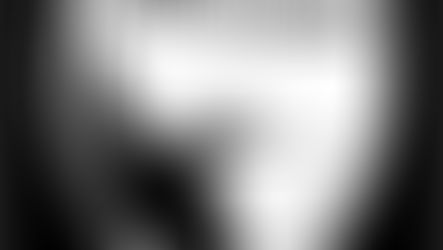 HOMMAGE A RENE RIBEYROLLES