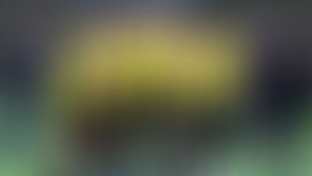 National 3  Uspf   3-1   angers sco 2