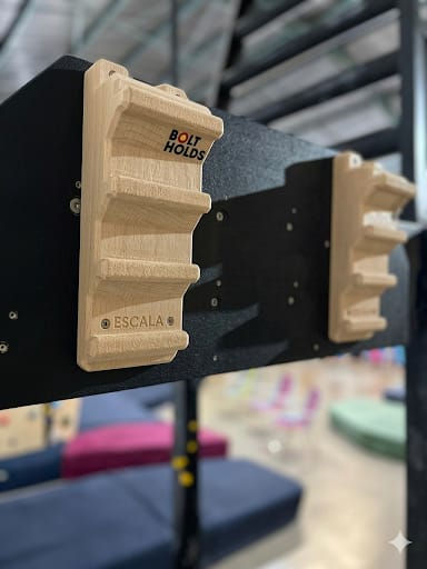 Thumbnail: ESCALA II  - FINGERBOARD