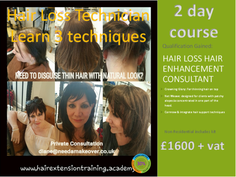 12 Hair Extension Prospectus Cover Diane Shawe learn 3 hair loss techniques