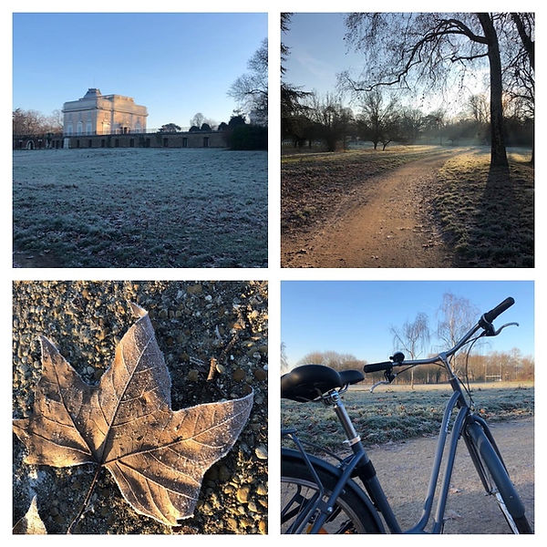 Bagatelle bicyclette bois.JPG