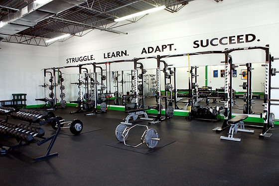 Gym.jpeg