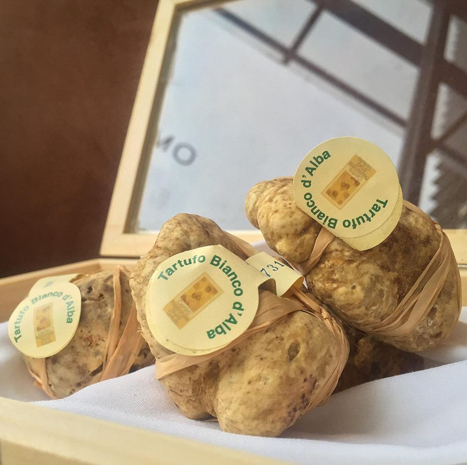 ทรัฟเฟิลขาว Tuber magnatum Pico ติดป้าย Tartufo Bianco d'Alba ในกล่องไม้