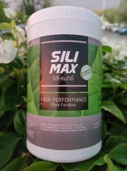 Sili Max