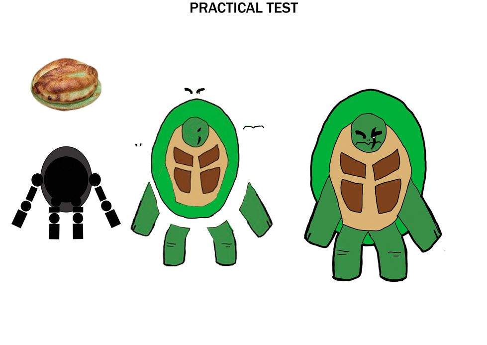 PRAKTIKAL TEST ece