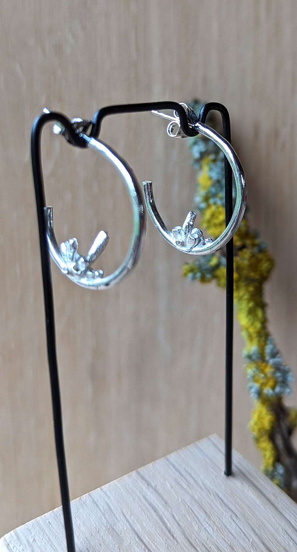 Thumbnail: Lichen Encrusted Hoops