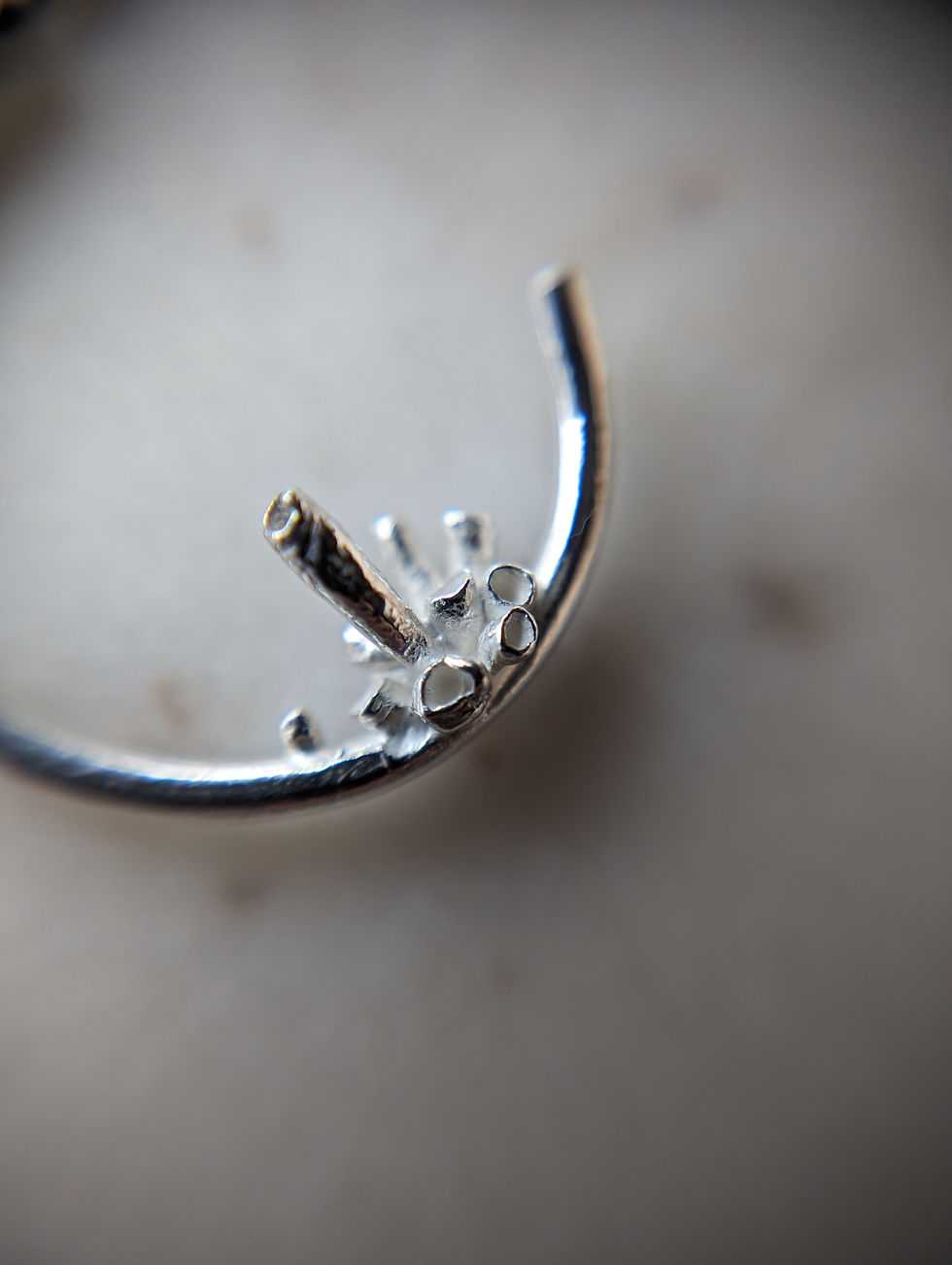 Thumbnail: Lichen Encrusted Hoops