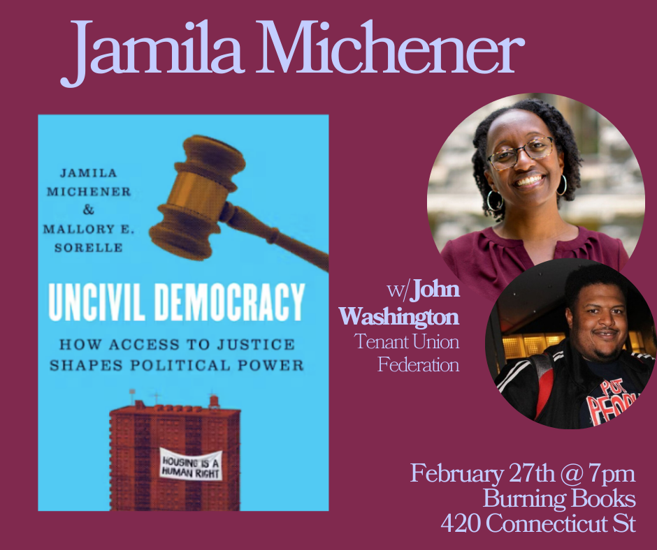 Uncivil Democracy: How Access to Justice Shapes Political Power