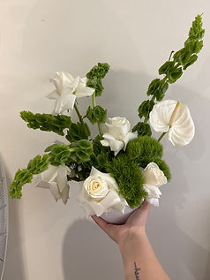 Photo 2025-06-28, 11 06 03 AM.jpg