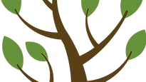 木