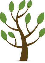 Naturheilkunde Zürich