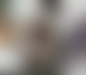 La ronronthérapie débarque sur TST Radio !