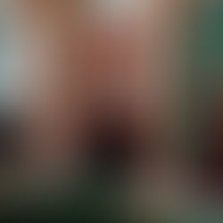 Seine-Maritime : la fibre en 2023 !