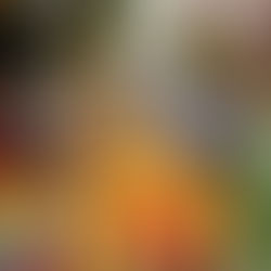 La Fête du Ventre c'est ce week-end à Rouen