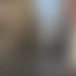 Non, il n'y a pas eu d'ours dans la Rue aux Ours