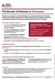 American Diabetes Association one-sheeter.jpg
