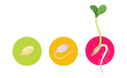6.png