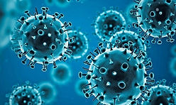 coronavirus-2.tmb-1920v.jpg_sfvrsn=4dba955c_19.jpg