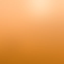 o possível silêncio