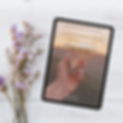e-book-dein-kompass-durch-die-wechseljahre-ines-zayer (1).png