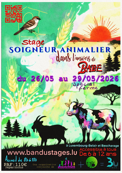 Affiche soigneur babe 2026.jpg
