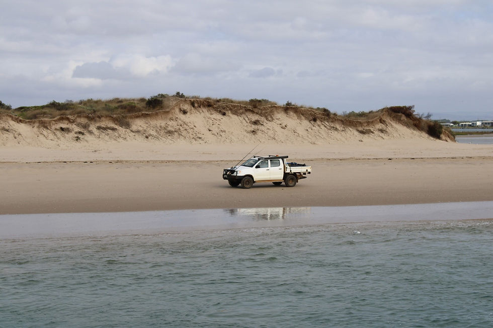 More than tyre tracks: the hidden environmental cost of driving on Goolwa Beach