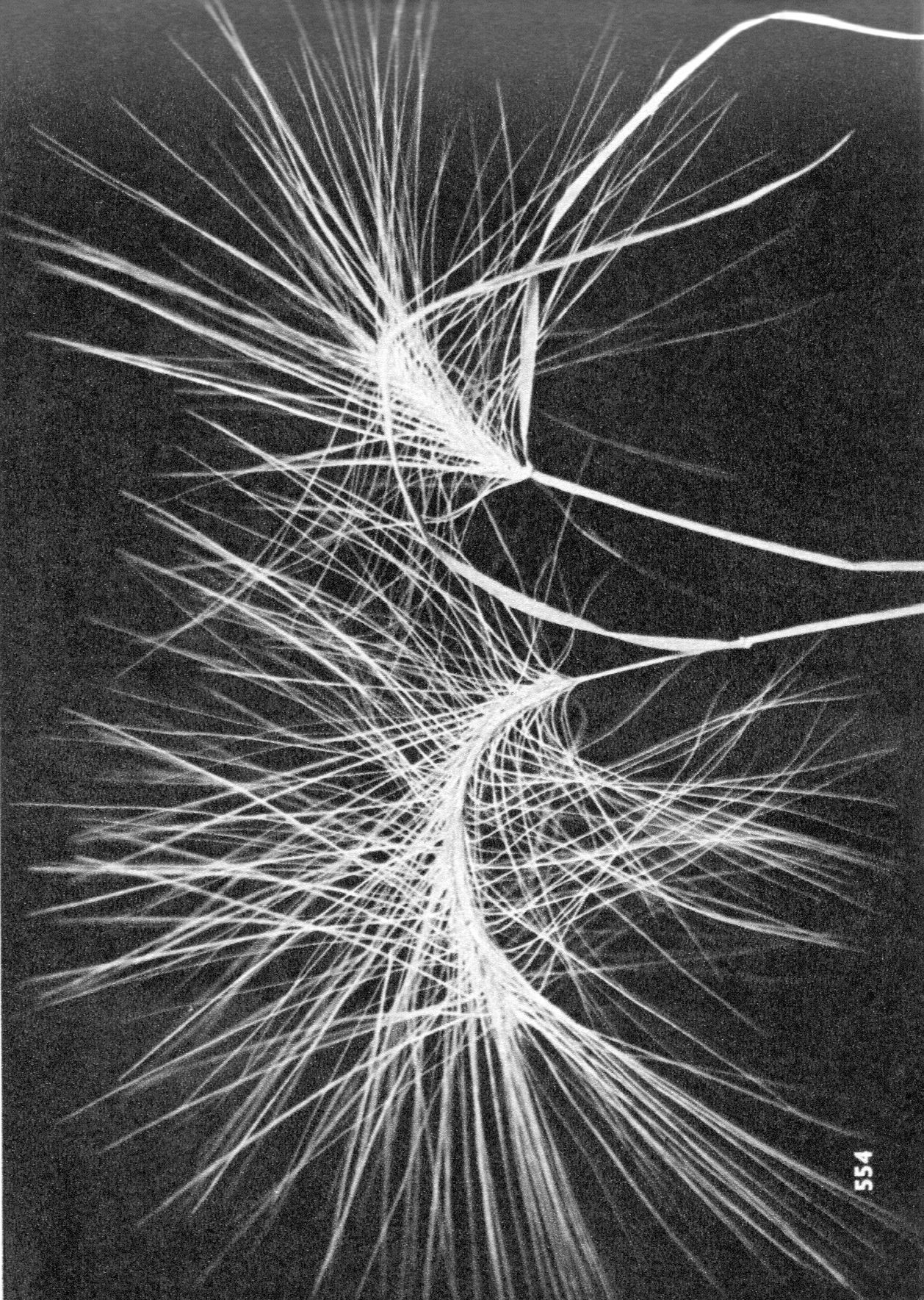 Follow Up Chinese Medicine Session