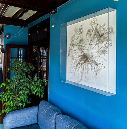 Tableau In Situ