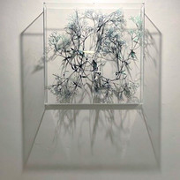 S_C 256 , papier scalpé_sculpté, 60x60x15 cm