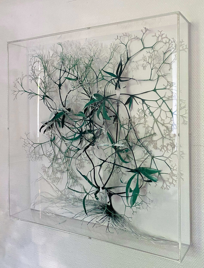 Technique mixte sur papier sculpté, sous verre, 60x60 cm, 2021