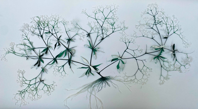 60x130 cm, sous verre, 2021
