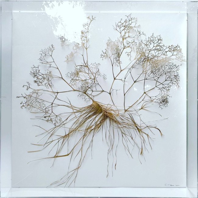 FRAMED 105x105 cm