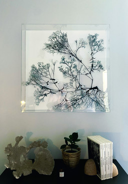 Tableau in situ