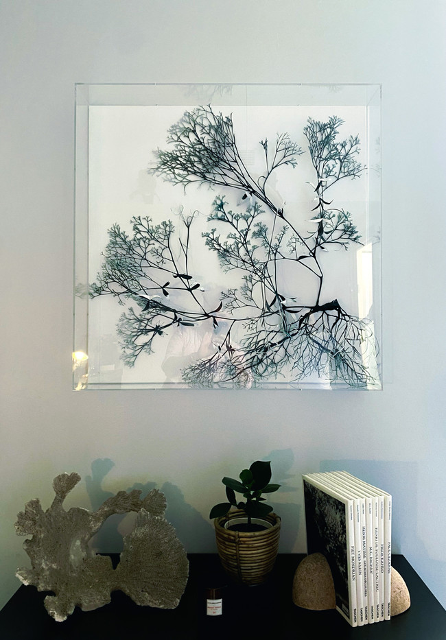 Tableau in situ