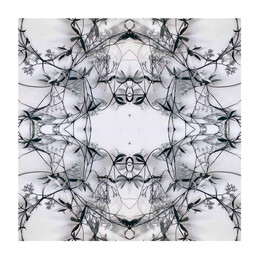 51EC1B23-606B-4B9F-A2CC-A61720F7DC50.jpeg