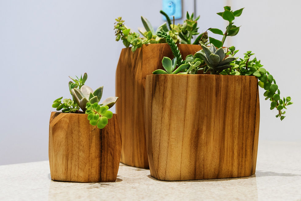 Geometric Vases