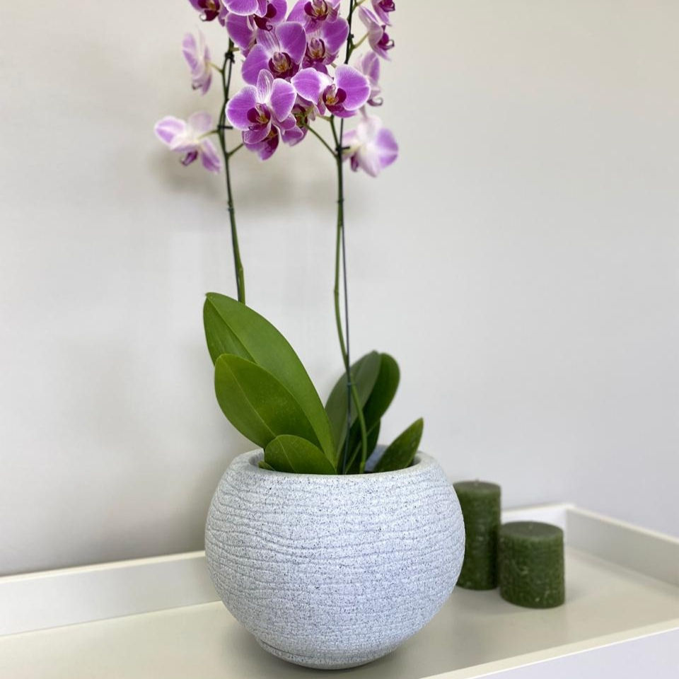 Miniatura: Floridis Florença Round White Garden Planter with Saucer - Maceta gris clara con Plato para Jardín Paisajismo.